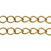 Iron Side Twisted Chains CH-S088-G-LF-1
