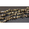 Natural Smoky Quartz Chips Beads Strands F037-1