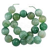 Natural Green Banded Agate Beads Strand G875-14MM-2