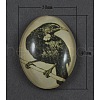 Tempered Glass Cabochons GGLA-R193-3-1