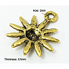 Tibetan Style Alloy Pendants K0910031-3
