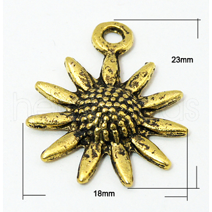 Tibetan Style Alloy Pendants K0910031-1