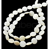 Natural Shell Beads Strands PBB-XXBK024Y-13-2