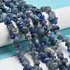 Dyed & Heated Natural Blue Aventurine Chip Beads Strands G-M205-10C-2