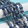 Natural Blue Aventurine Chip Beads Strands G-M205-10C-2