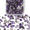 50G Natural Amethyst Chip Beads G-YW0001-61-1