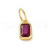 925 Sterling Silver Cubic Zirconia Charms STER-NH0014-01G-07-1