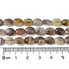 Natural Botswana Agate Beads Strands G-H004-B02-01-5