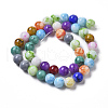 Spray Painted Glass Beads Strands DGLA-MSMC001-9-2