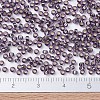 MIYUKI Round Rocailles Beads X-SEED-G007-RR0024-4