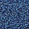 MIYUKI Round Rocailles Beads X-SEED-G007-RR1025-3