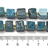 Natural Apatite Beads Strands G-G053-B18-04-5