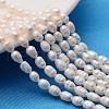 Grade A Natural Cultured Freshwater Pearl Strands X1-PEAR-N012-04I-1