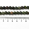 Natural Chrysoprase Beads Strands G-H298-A09-02-5