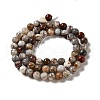 Natural Mexican Lace Agate Beads Strands G-E578-02A-2