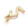 304 Stainless Steel Pendants STAS-L210-05C-G-2
