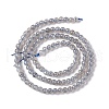 Natural Labradorite Beads Strands G-G933-02-3