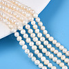 Natural Cultured Freshwater Pearl Beads Strands PEAR-N013-04F-1