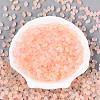 Frosted Glass Seed Beads SEED-N008-05A-2