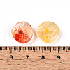 Transparent Acrylic Beads TACR-T028-41E-4