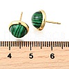 Brass Half Round Stud Earrings EJEW-Z124-02G-5