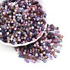 6/0 Transparent Colours Glass Seed Beads SEED-N007-22C-1