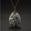 Double Sided Natural Paua Shell Copper Wire Wrapped Tree of Life Teardrop Pendant Necklaces FS-WG9357B-01-2