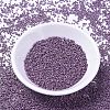 MIYUKI Delica Beads SEED-X0054-DB1173-2