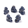 Natural Blue Spot Jasper Display Decorations DJEW-P019-A03-1