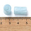 Resin European Beads RESI-U008-01D-2