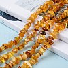 Natural Amber Chip Beads Strands G-E271-81-5