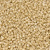 MIYUKI Delica Beads X-SEED-J020-DB1571-3