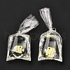 Resin Pendants with Iron Jump Ring RESI-A015-03C-2