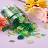 Craftdady 270Pcs 9 Style Transparent Acrylic Pendants TACR-CD0001-02-28