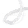 Transparent Frosted Glass Bead Strands GLAA-N047-08-B10-4
