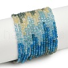 Natural Blue Green Yellow Apatite Beads Strands G-NH0050-B01-01-2