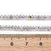 Natural Labradorite Beads Strands G-RM2025-D17-B-5