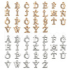 Fashewelry 2 Sets 2 Colors Alloy Rhinestone Charms ALRI-FW0001-01-2