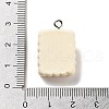 Cookies Theme Imitation Food Resin Pendants X-RESI-B021-02C-05-3