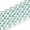 Glass Pearl Beads Strands HY-G002-01E-12-1