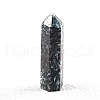 Point Tower Natural Moss Agate Home Display Decoration PW-WG04107-58-1