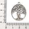 Tibetan Style Alloy Pendants FIND-A053-05A-AS-3