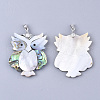 Shell Pendants SHEL-S275-65-2
