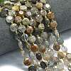 Natural Lodolite Quartz Beads Strands G-C116-A109-01-1