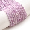 Natural Kunzite Beads Strands G-G259-D11-4mm-2