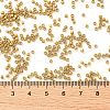 Cylinder Seed Beads X-SEED-H001-C05-3