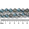 Electroplate Transparent Glass Beads Strands EGLA-I019-HP01-5
