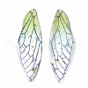 Transparent Epoxy Resin Big Pendants X1-RESI-T046-01C-2