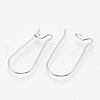304 Stainless Steel Hoop Earrings STAS-T031-01-2