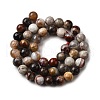 Natural Mexico Crazy Agate Beads Strands G-L615-A01-01-7